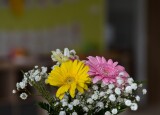 DSC_9945.jpg
