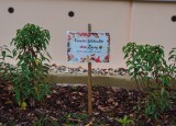 DSC_1975.jpg