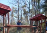 IMG_2447.jpeg