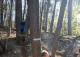IMG_2451.jpeg