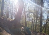 IMG_2453.jpeg