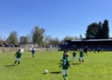 IMG_2317.jpeg